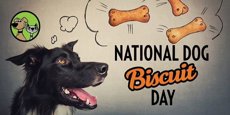 National Dog Biscuit Day