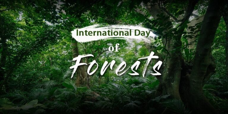 International Day of Forests