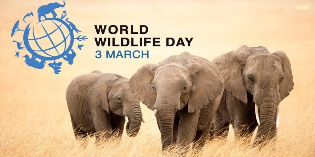 World Wildlife Day 2024