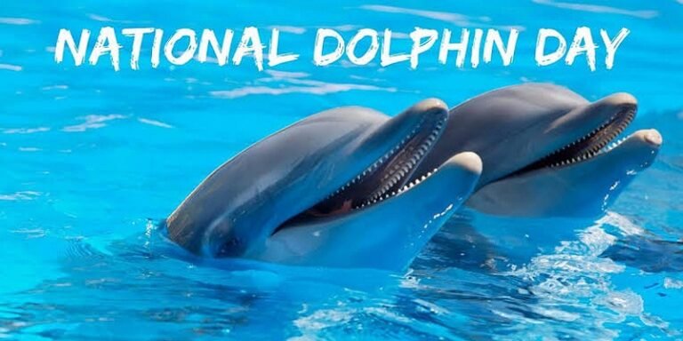 National Dolphin Day