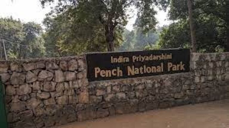 Pench National Park