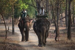 Pench Wildlife Sanctuary